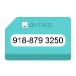 918-8793250 سیم کارت دائمی طرح بیست thumb 1