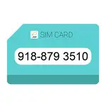 918-8793510 سیم کارت دائمی طرح بیست thumb 1