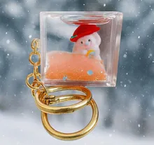 سرکلیدی آکواریمی مکعب برفی gallery0