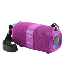 اسپیکر بلوتوثی قابل حمل PARMA مدل V60 gallery1